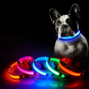LED Halsband - USB