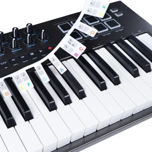 Afneembare siliconen piano toetsenwijzer - gekleurd